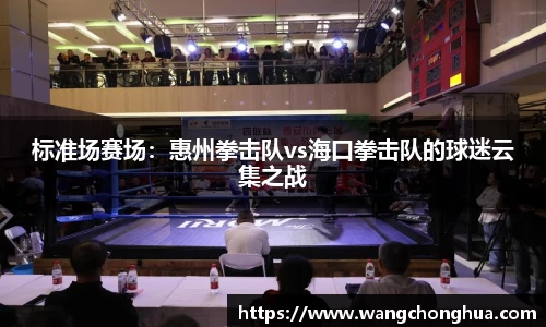 标准场赛场：惠州拳击队vs海口拳击队的球迷云集之战